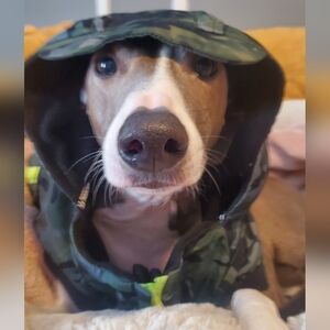 CANADA POOCH 360 Dog Jacket - Size 18